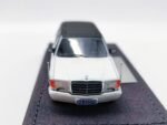 The Art of Model Trasco 1000 SEL HEC Exclusive 2026. White with Black Roof - Image 6
